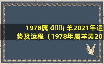 1978属 🐡 羊2021年运势及运程（1978年属羊男2021年运势及运程每月运程）